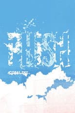 Poster for Phish: Coral Sky