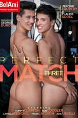 Poster for Perfect Match Three