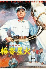 Poster for 梅岭星火