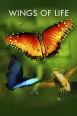 Poster for Wings of Life