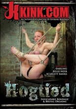 Poster for Hogtied