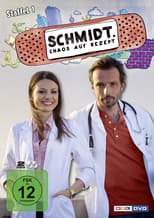 Poster for Schmidt – Chaos auf Rezept