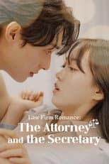 Poster for Law Firm Romance: The Attorney and the Secretary
