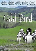 Poster for Odd Bird