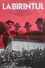 Poster for Labirintul