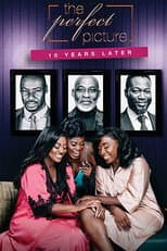 Poster for The Perfect Picture: Ten Years Later