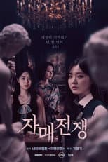Poster for Sisters at War