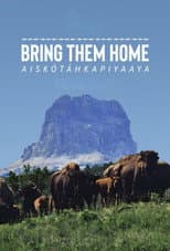 Poster for Bring Them Home