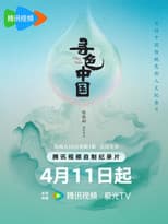 Poster for 寻色中国