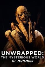Poster for Unwrapped: The Mysterious World of Mummies