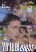 Poster for Virtual Night