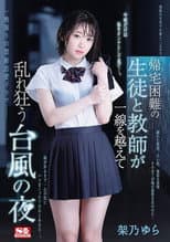 Poster for 帰宅困難の生徒と教師が一線を越えて乱れ狂う台風の夜