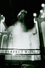 Poster for Perfect World