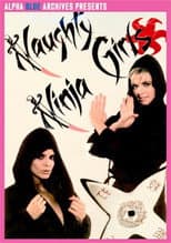 Poster for Naughty Ninja Girls