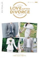 Poster for Love After Divorce