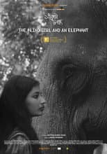 Poster for The Blind Girl and an Elephant