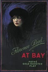 Poster for At Bay