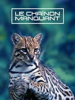 Poster for Le Chaînon Manquant
