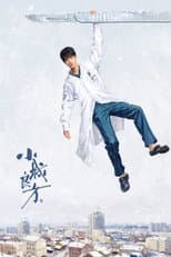 Poster for 小城良方