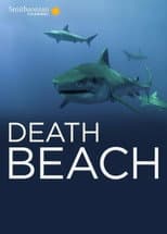Poster for Death Beach