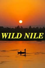 Poster for Wild Nile