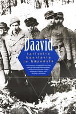 Poster for David – Stories of Honour and Shame