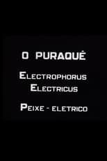 Poster for O Puraquê