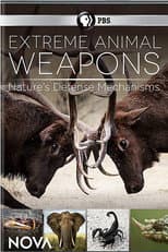 Poster for Extreme Animal Weapons