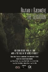 Poster for The Guardian