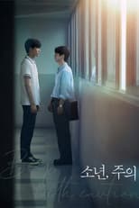 Poster for Boy, with caution