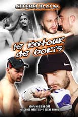 Poster for Boris Returns
