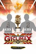 Poster for NJPW G1 Climax 30: Day 19 (Final)