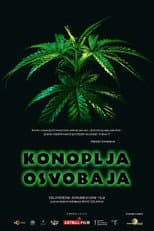 Poster for Cannabis Sets You Free