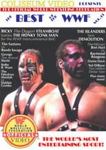 Poster for The Best of the WWF: volume 13