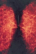 Poster for data-verse 1