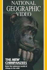 Poster for The New Chimpanzees