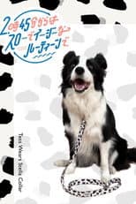Poster for スローでイージーなルーティーンで