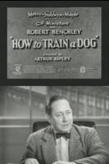 Poster for How to Train a Dog