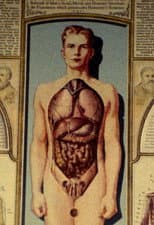 Poster for Natural History