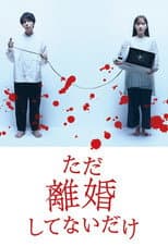 Poster for We Are Just Not Divorced
