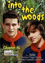 Poster for 18 Today International 15: Into the Woods 2