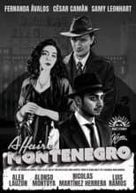 Poster for The Montenegro Affair
