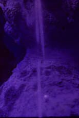 Poster for CICATRIX