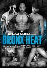 Poster for Bronx Heat