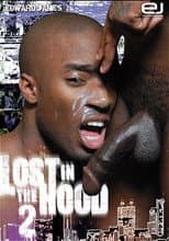 Poster for Lost in the Hood 2