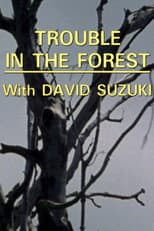 Poster for Trouble in the Forest