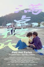 Poster for Perfect Boyfriend