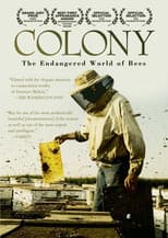 Poster for Colony