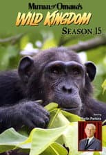 Poster for Season 15