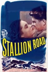 Poster for Stallion Road